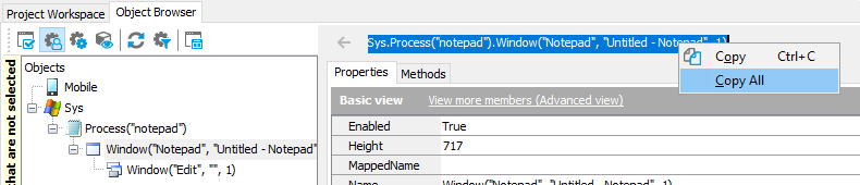 Copying window name from the Object Browser.