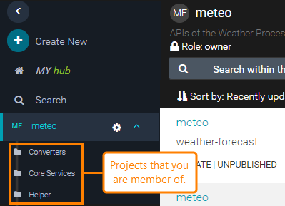 Projects in SwaggerHub