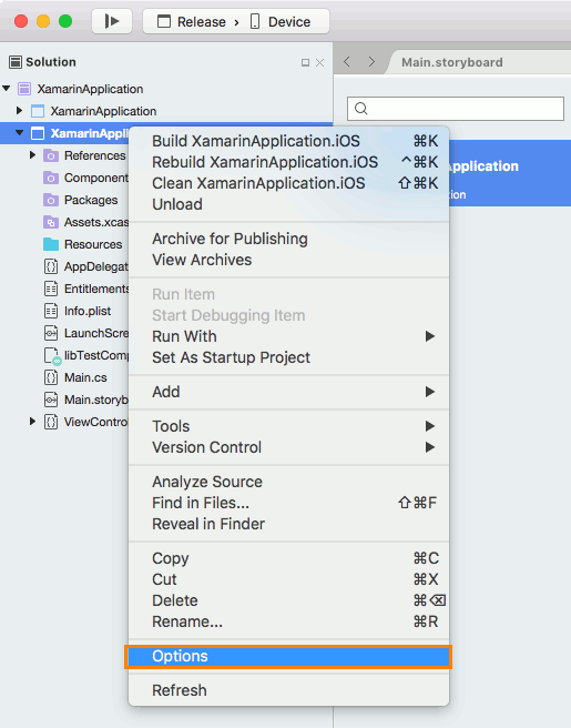 Configuring options of the application project Configuring options of the application project