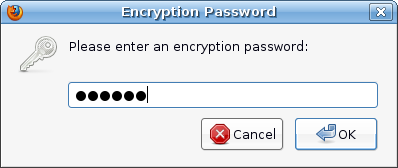Encryption password
