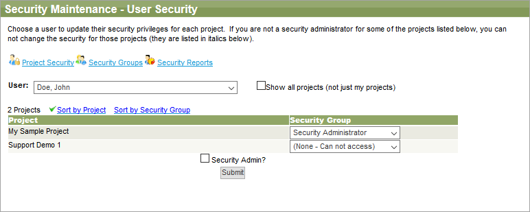 The User Security form