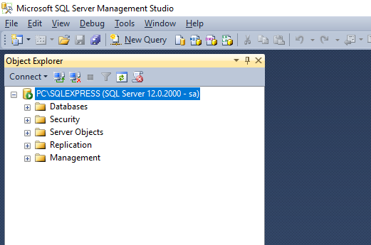 SQL Server Management Studio: Connected to the database