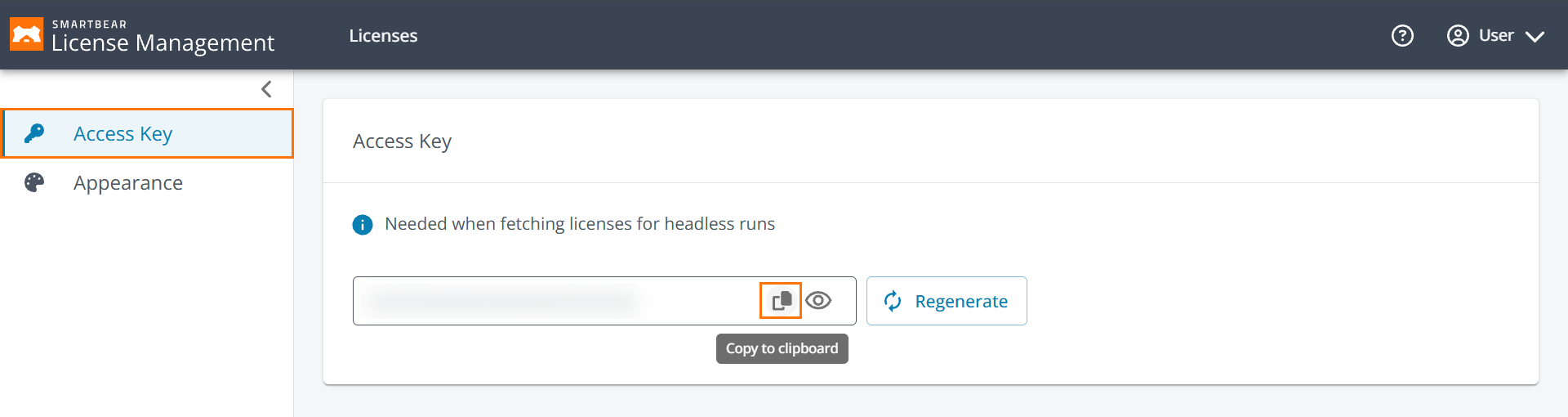 RAPI_Screenshot_Access_Key_Copy.png