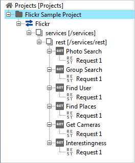 Flickr API sample project structure