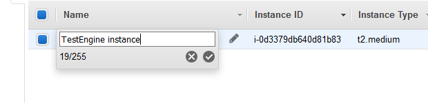 Specifying a name for the EC2 instance