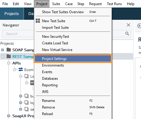 The Project menu