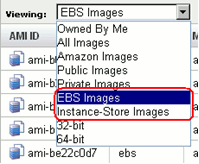 Selecting the Amazon Web Services EC2 AMI type