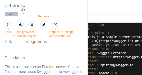 API info panel