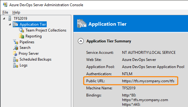 Public URL of an Azure DevOps Server instance