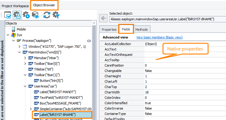 Access native properties and methods in SAP GUI