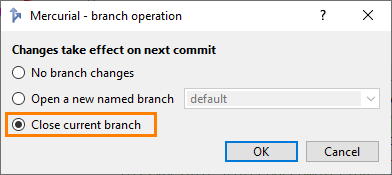 Closing Branches in TortoiseHg Commit Dialog