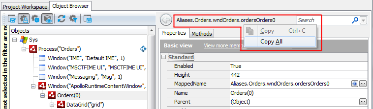 Copying the object name from the Object Browser