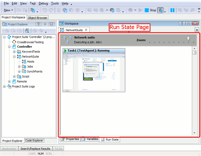 Run State page of the Network Suite editor