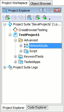 NetworkSuite project item added to the slave project