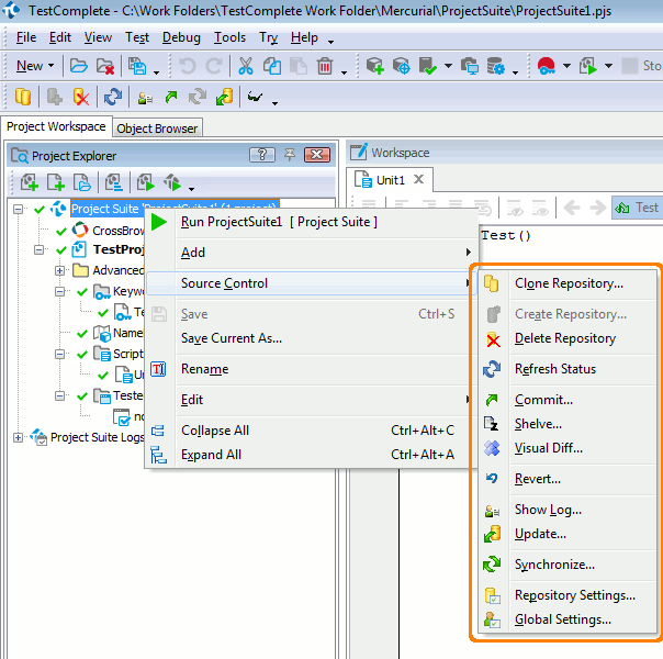 Items of the Source Control menu with TortoiseHg integration enabled.