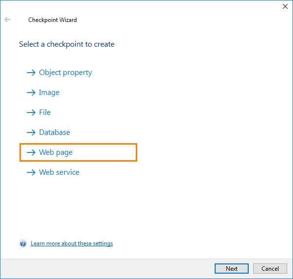 Web Audits Checkpoint: Selecting the checkpoint type