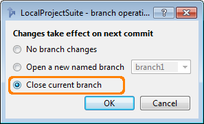 Closing Branches in TortoiseHg Commit Dialog