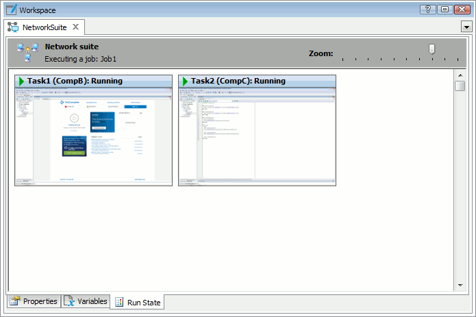 Run State page of the NetworkSuite editor