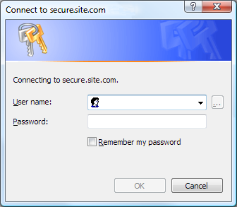 The login dialog in Internet Explorer