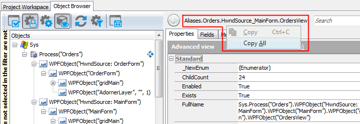 Copying the object name from the Object Browser Copying the object name from the Object Browser