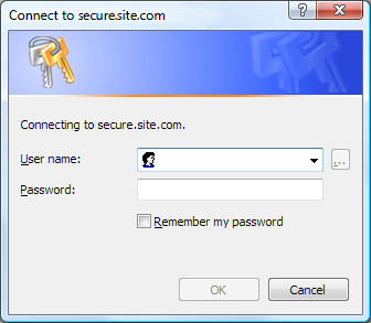 The login dialog in Internet Explorer The login dialog in Internet Explorer