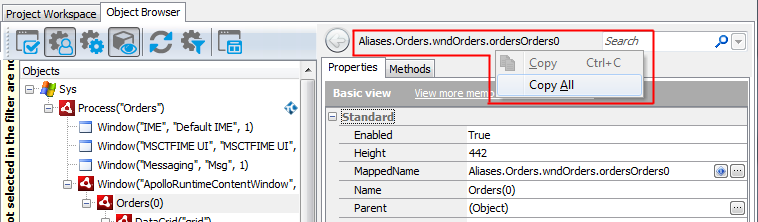 Copying the object name from the Object Browser