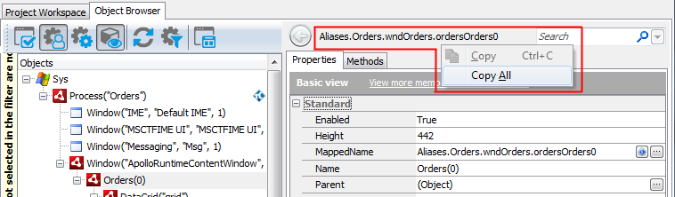 Copying the object name from the Object Browser Copying the object name from the Object Browser