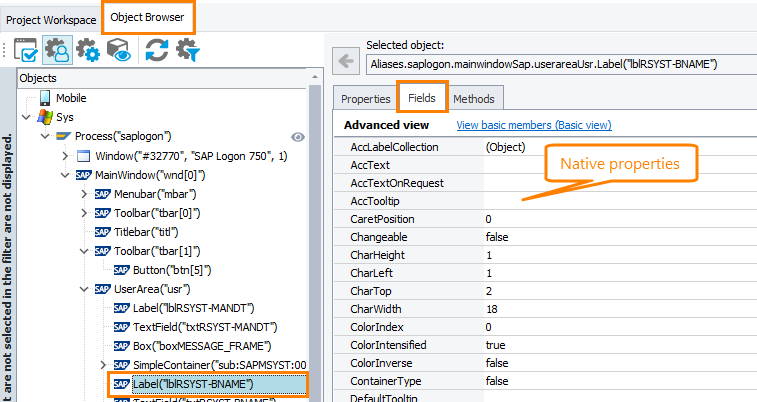 Access native properties and methods in SAP GUI Access native properties and methods in SAP GUI