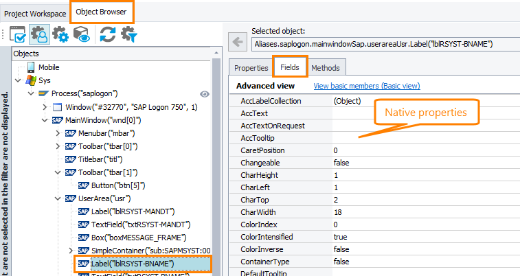 Access native properties and methods in SAP GUI Access native properties and methods in SAP GUI